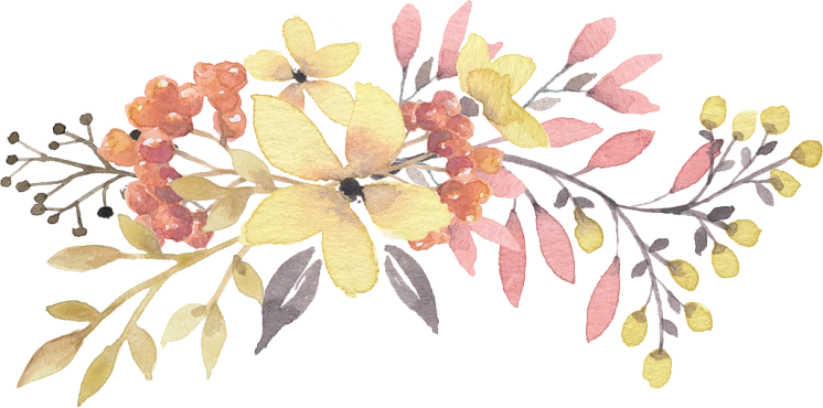Подарочные сертификаты